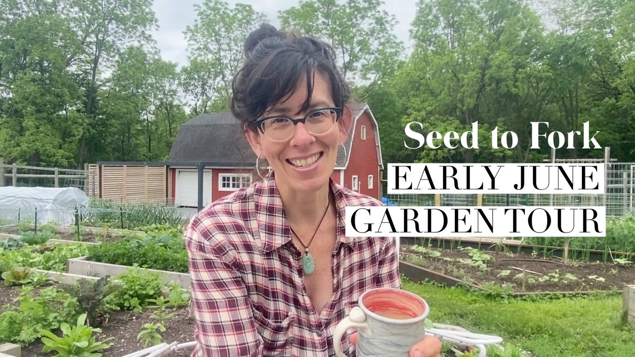 Early June 2022 Garden Tour