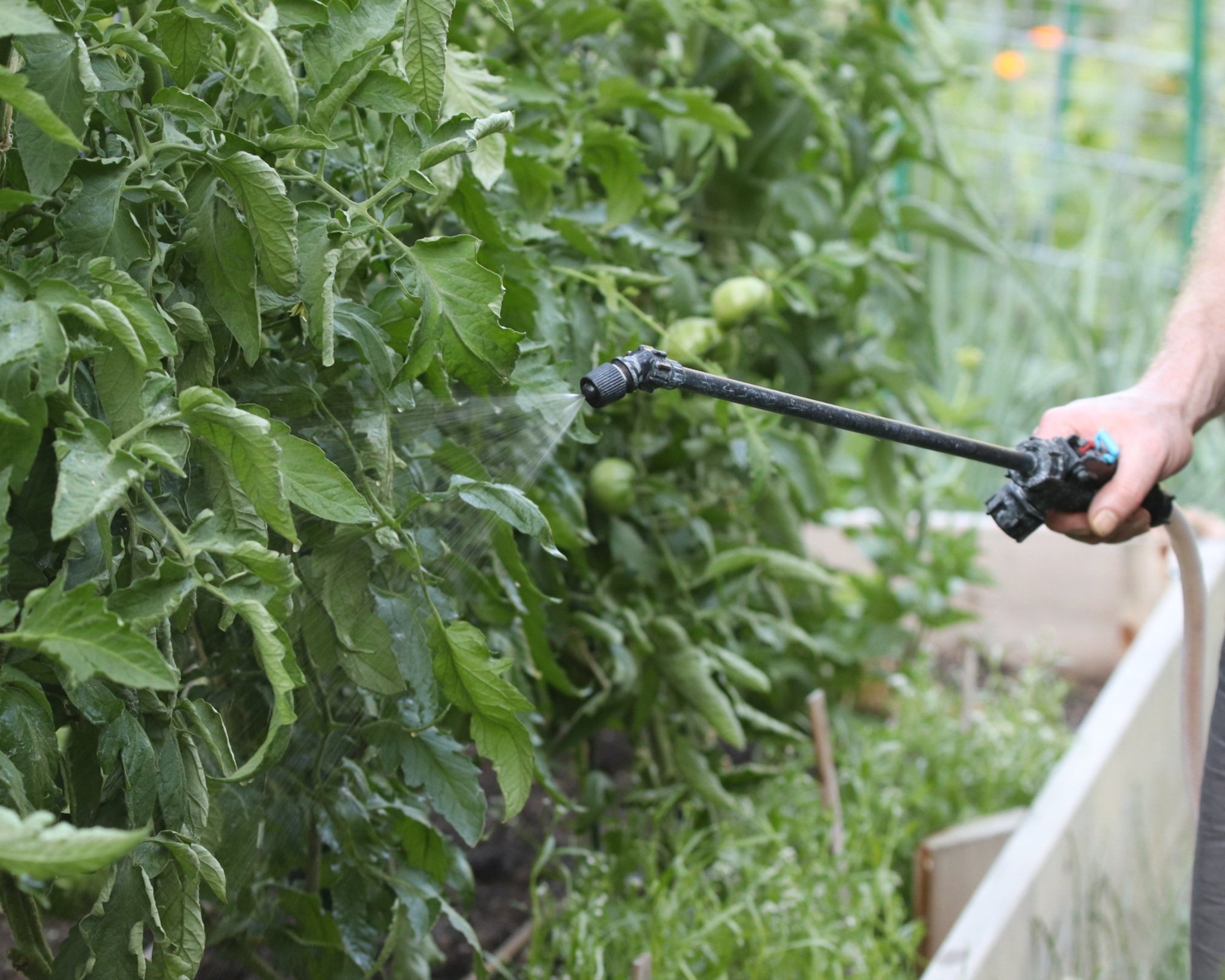 Organic Foliar Sprays