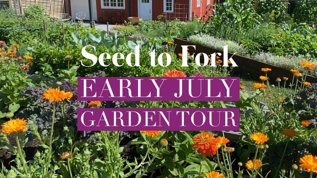 Early July Garden Tour