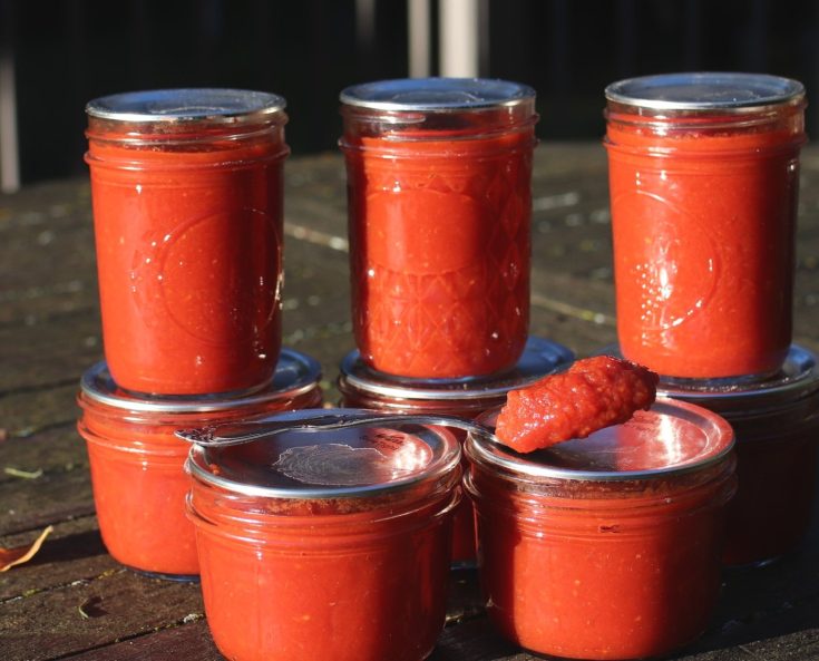 photo of home-canned ketchup jars on an outdoor table
