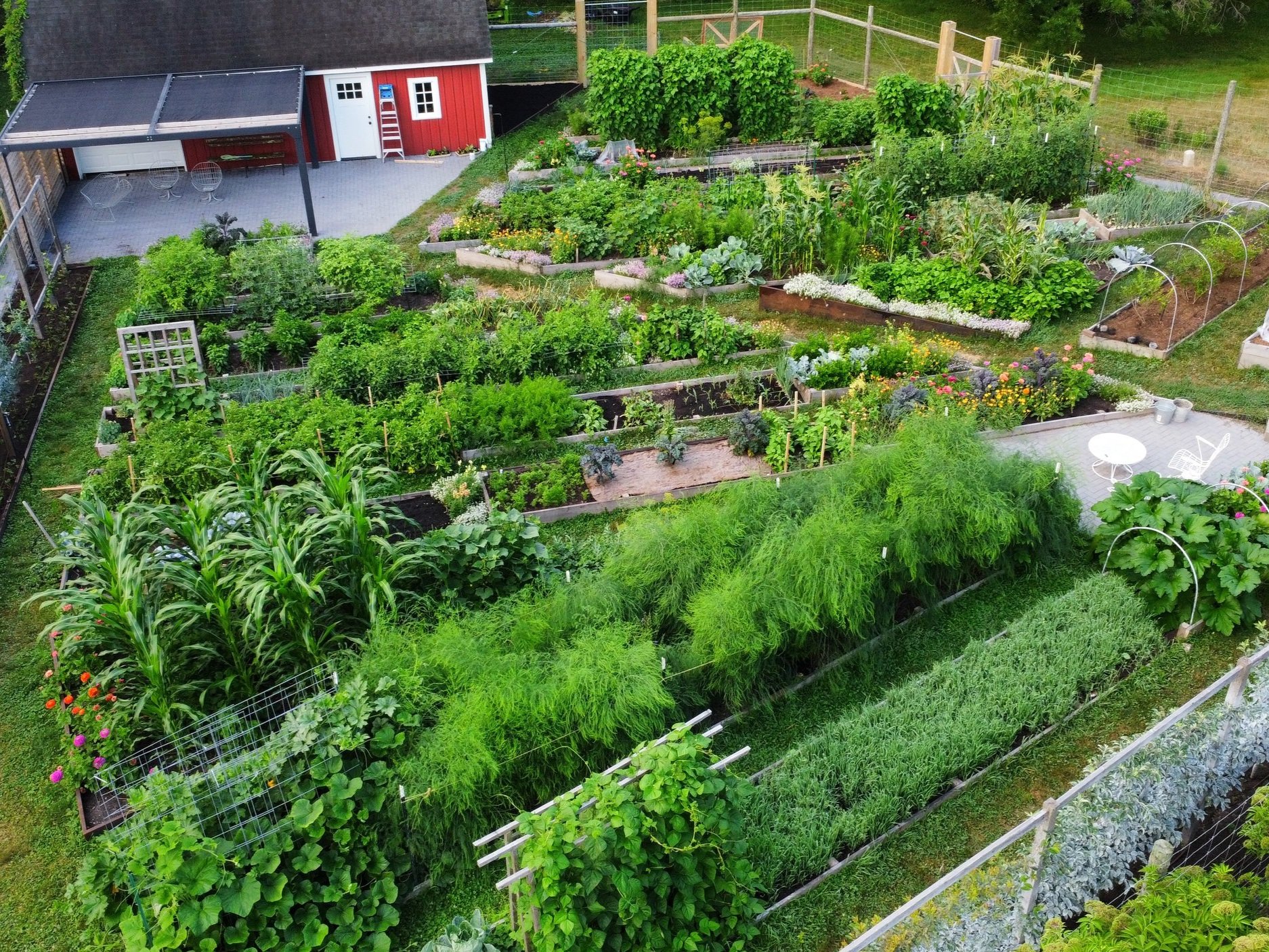 2022 Review: square footage by vegetable