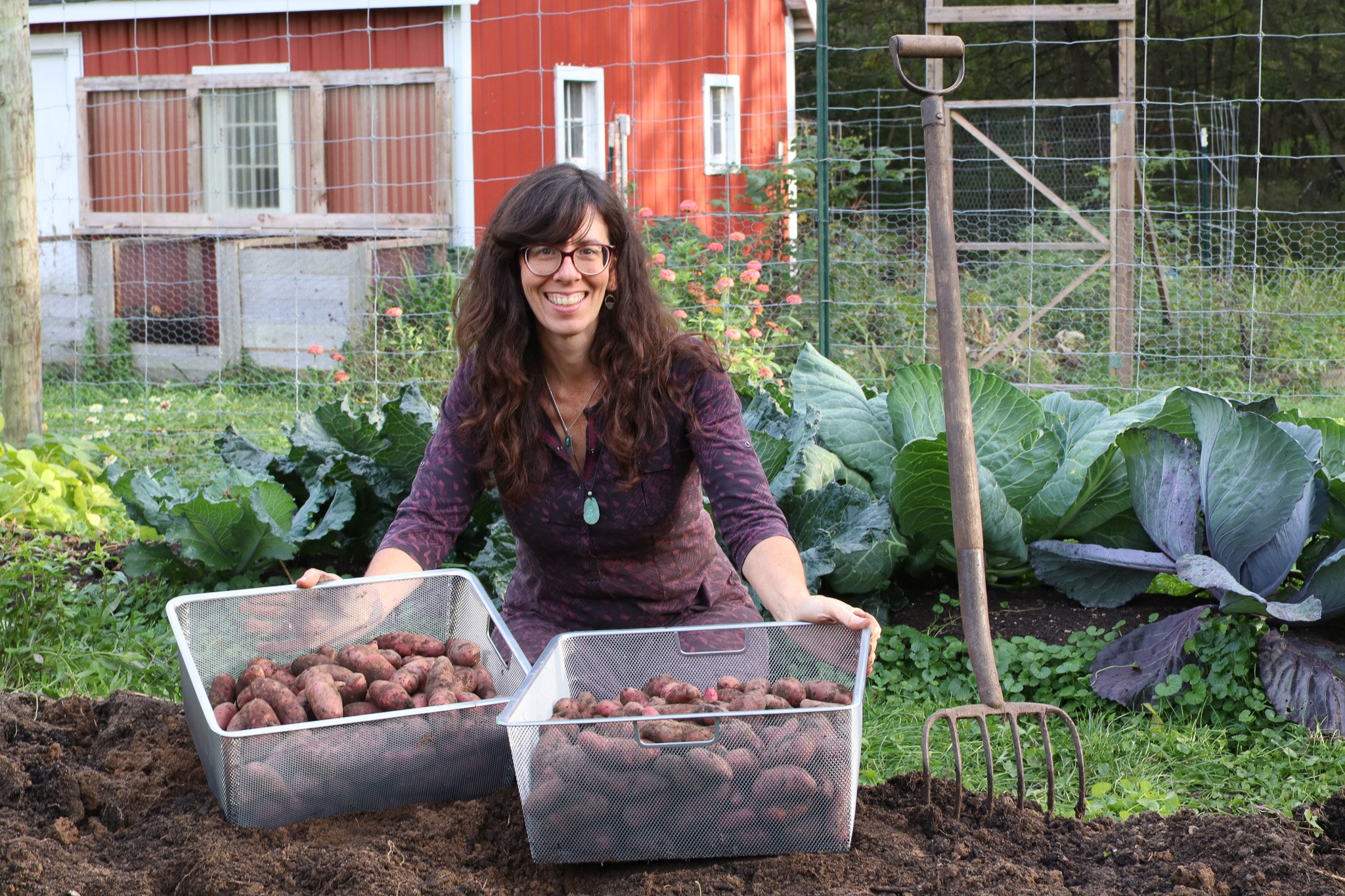 Favorite Varieties: Potatoes