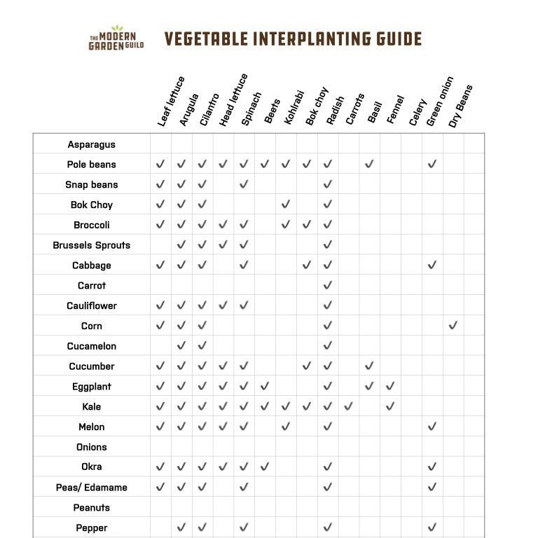 Interplanting Vegetable Guide
