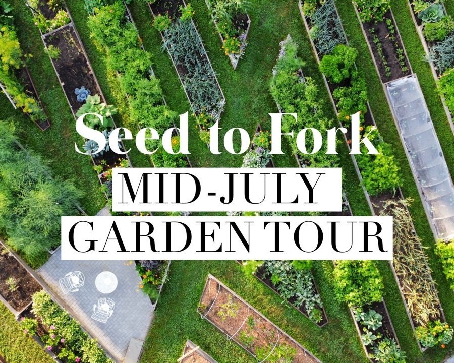 Mid-July Garden Tour
