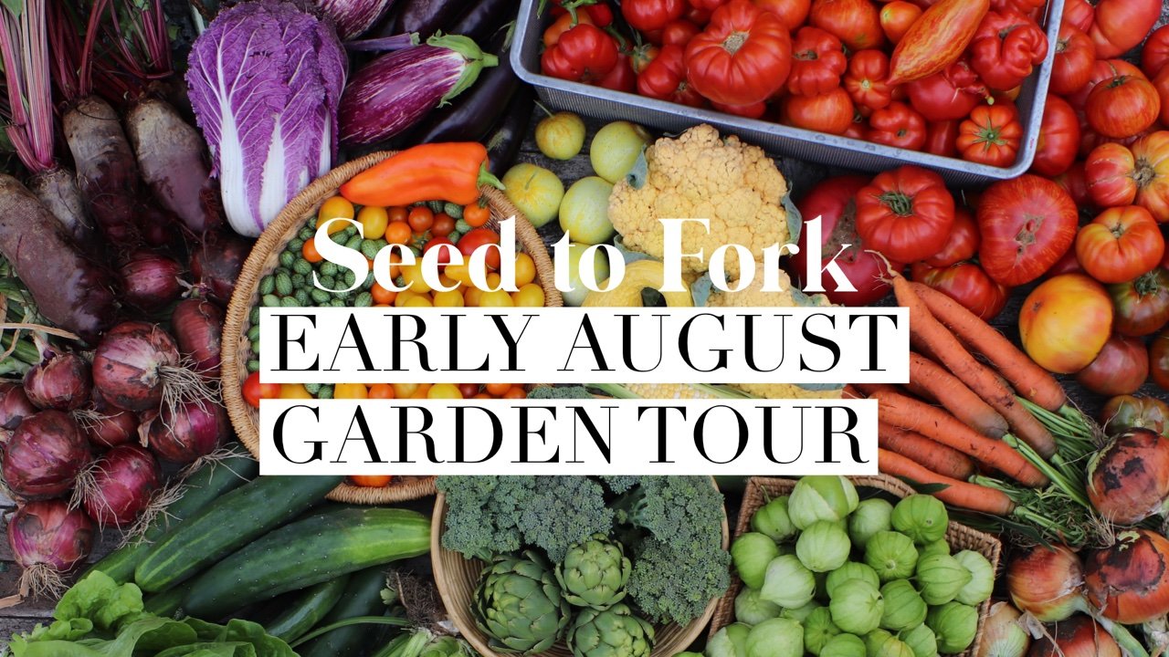 Early August Garden Tour