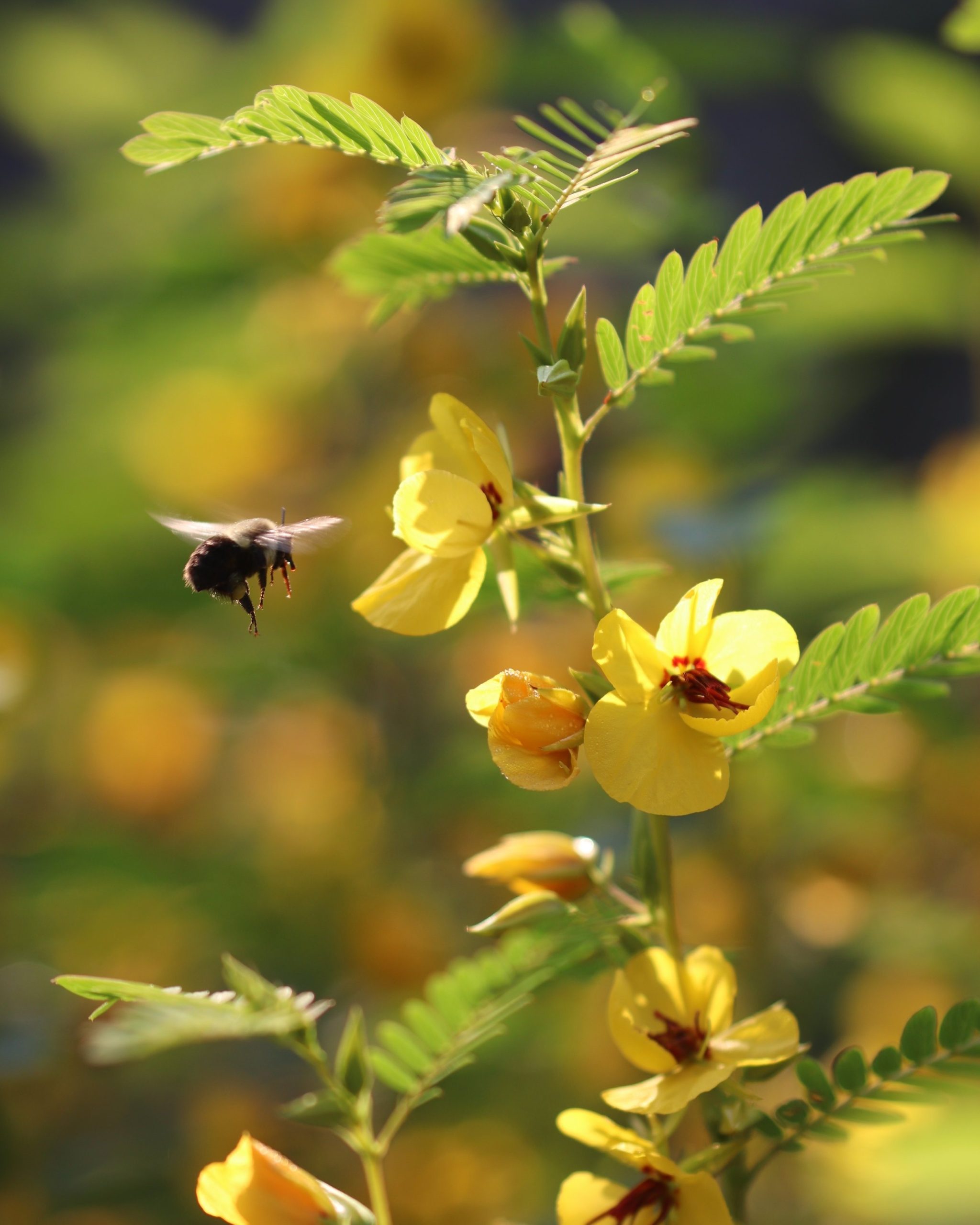 Endings and Beginnings