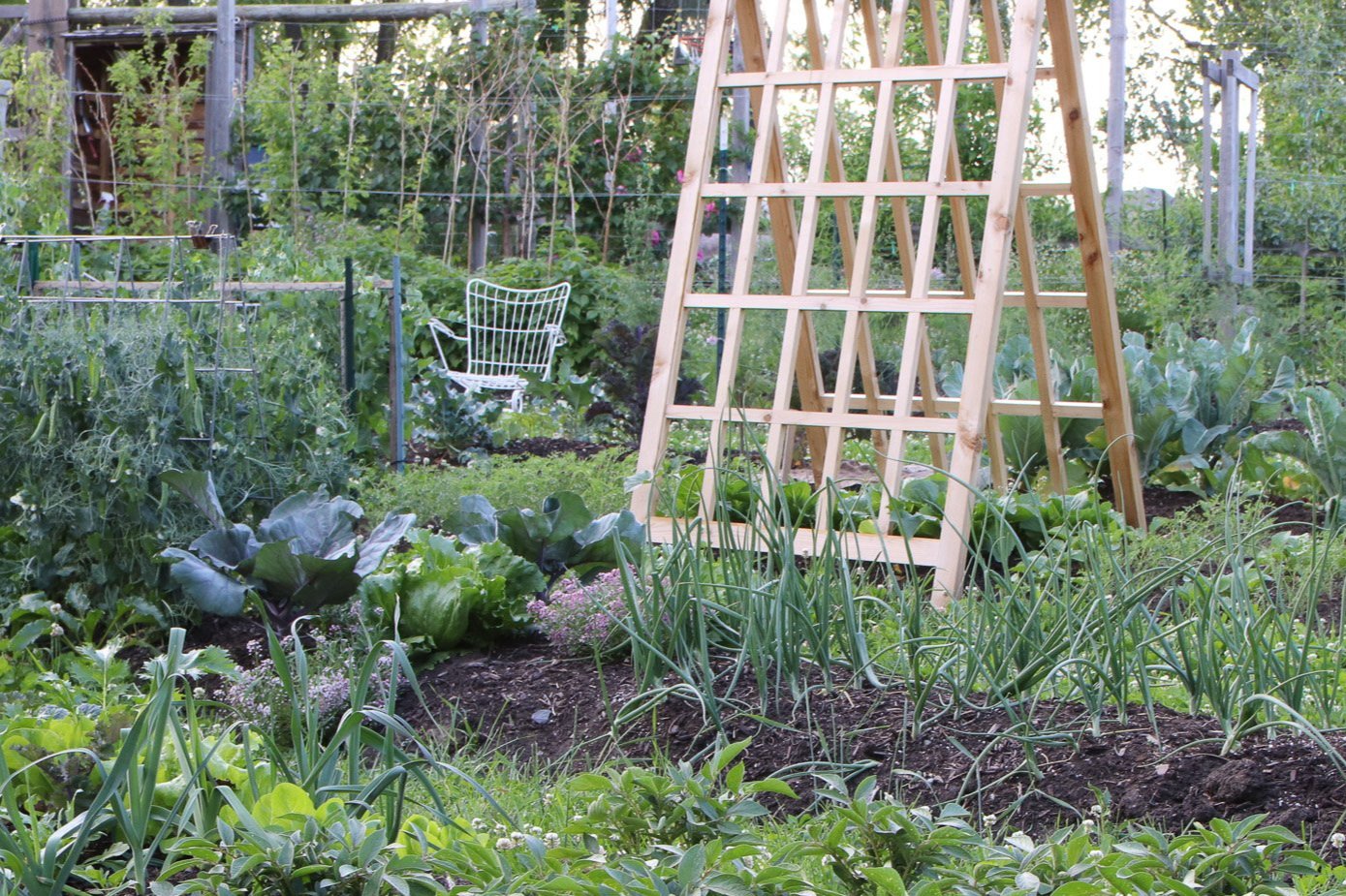 Selecting the Right Trellis