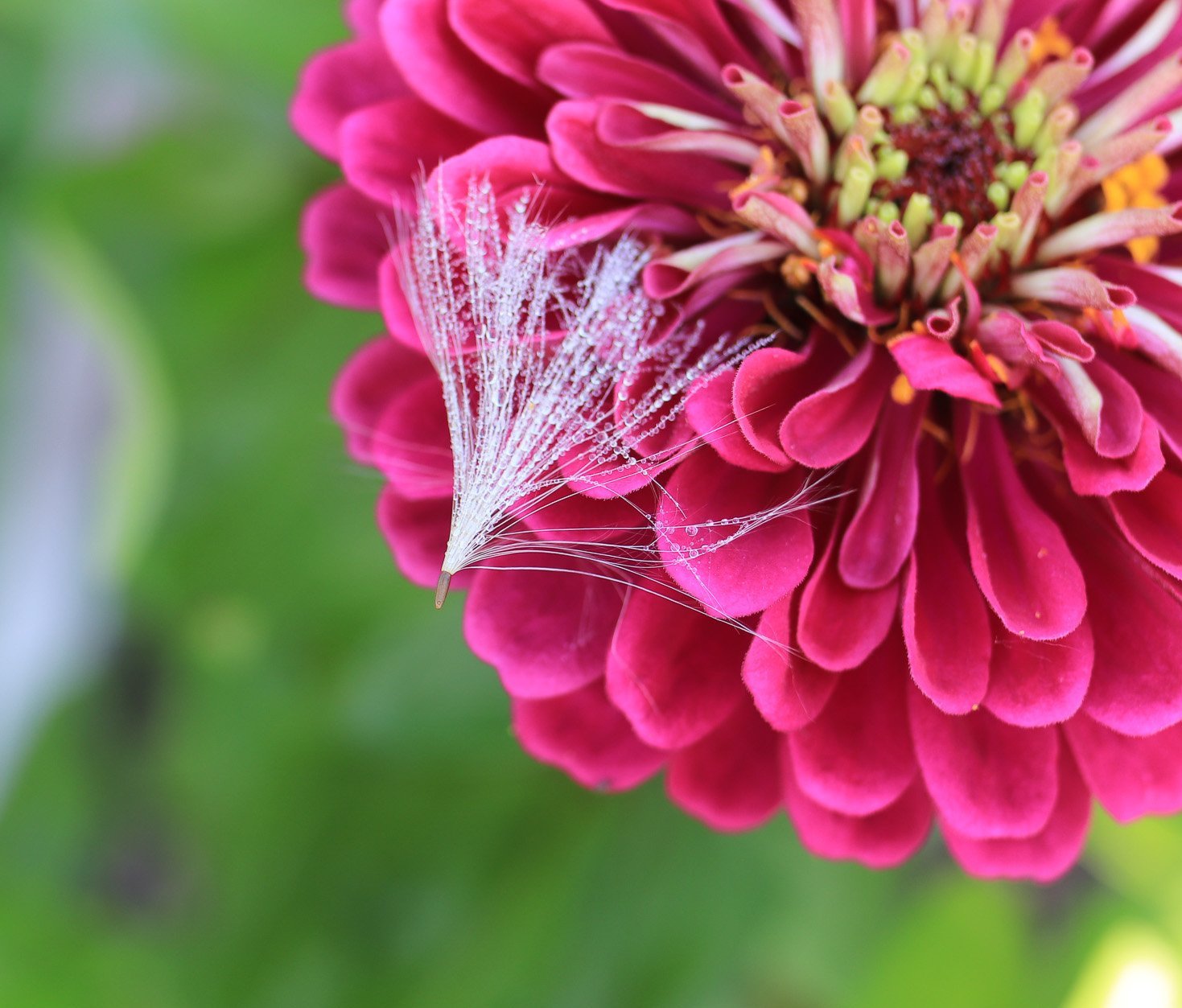 July Monthly Task List