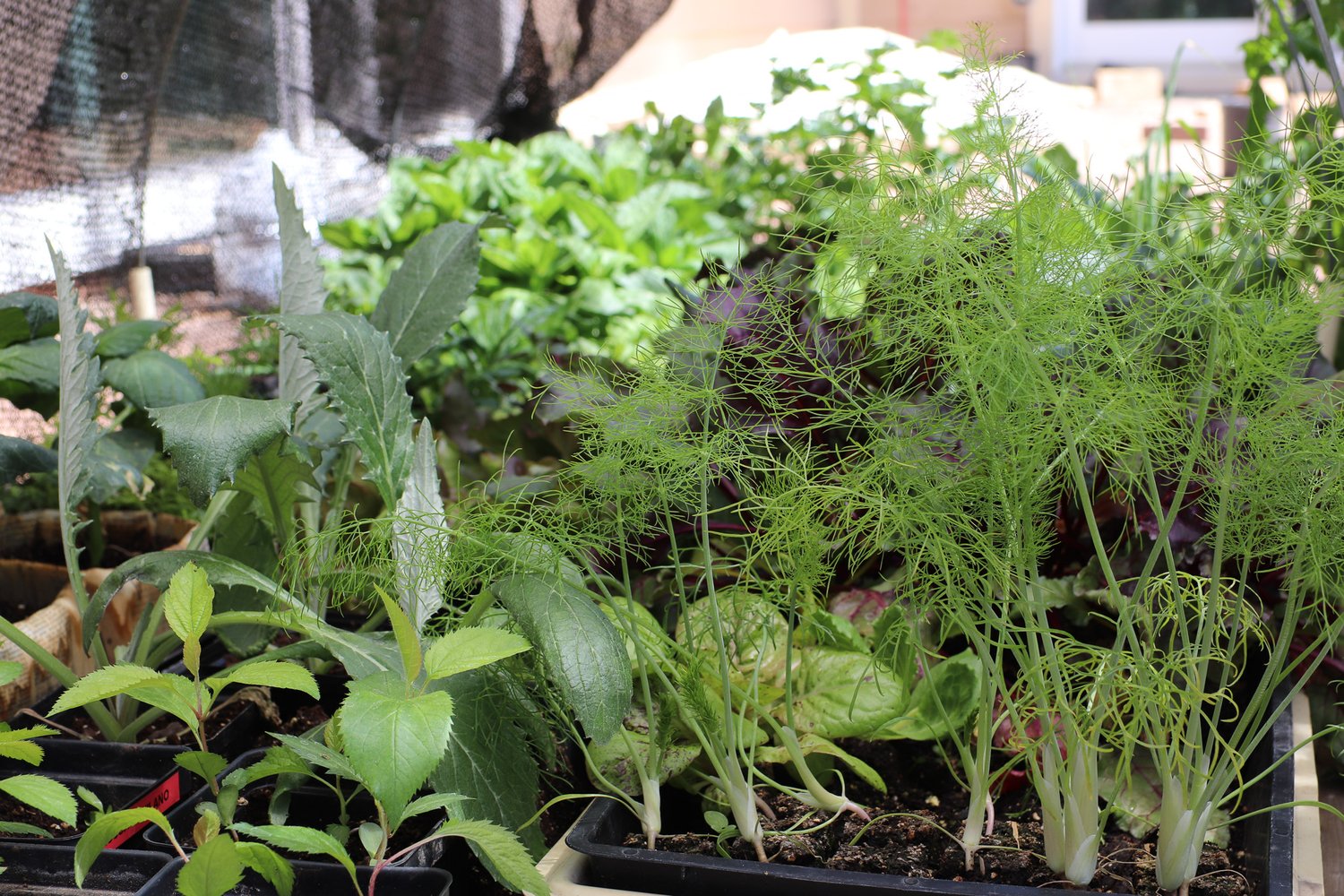 March Monthly Task List