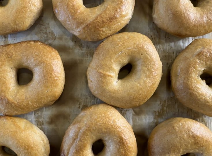 Sourdough Bagels