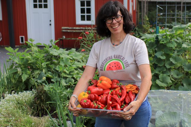 A woman wearing a "Nourishing Radical Roots" tee shirt standing in a vegetable garden holding a square basket of ripe red and orange peppers.