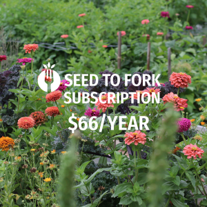 One year subscription