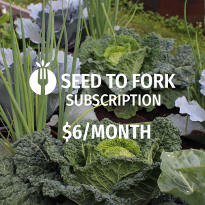 month One Month Subscription