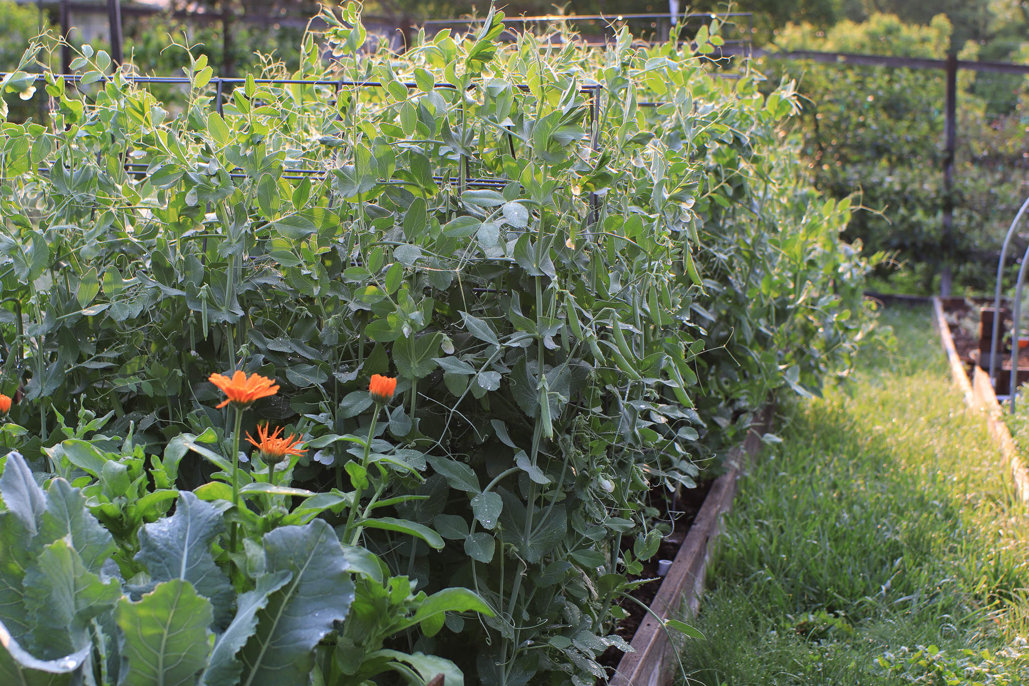 June Monthly Task List